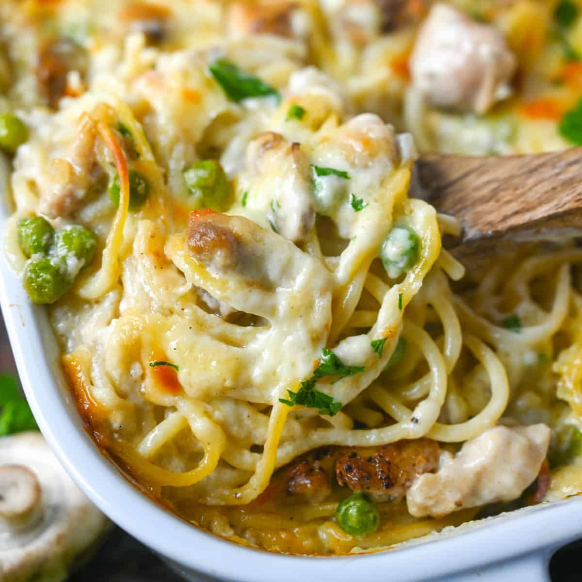 🍲CHICKEN TETRAZZINI🍲
